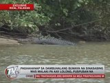 EXCL: Palawan croc bigger than Lolong?