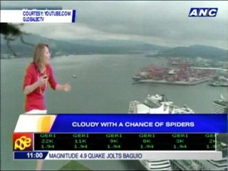 Viral video: Cloudy with a chance of spiders