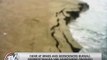 Geologists probe possible sinkhole in Zambales beach