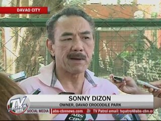 Lolong's remains yet to be preserved properly