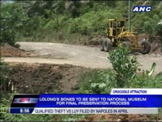 Lolong's bones to be sent to National Museum