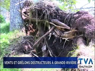 TVA Nouvelles 12h CHAU 13 août 2019