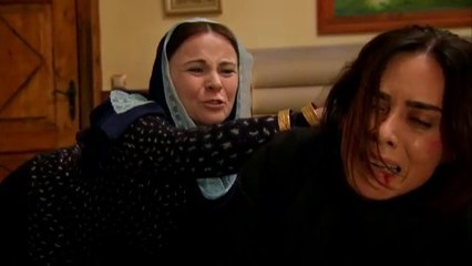 Capitulo 175 Esposa Joven