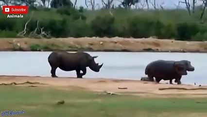 임실출장안마 -후불100%ョØ1ØM2997M5327｛카톡KC789｝  임실전지역출장안마 임실오피걸 임실출장마사지 임실안마 임실출장마사지 임실콜걸샵∨∻⾽