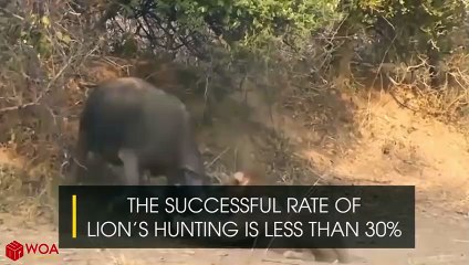 강화출장안마 -후불100%ョØ7ØE7575E0062｛카톡DK654｝  강화전지역출장안마 강화오피걸 강화출장마사지 강화안마 강화출장마사지 강화콜걸샵⻪㌞⊒