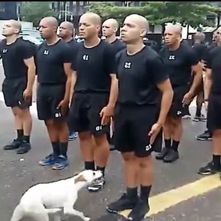 Prueba final de concentración