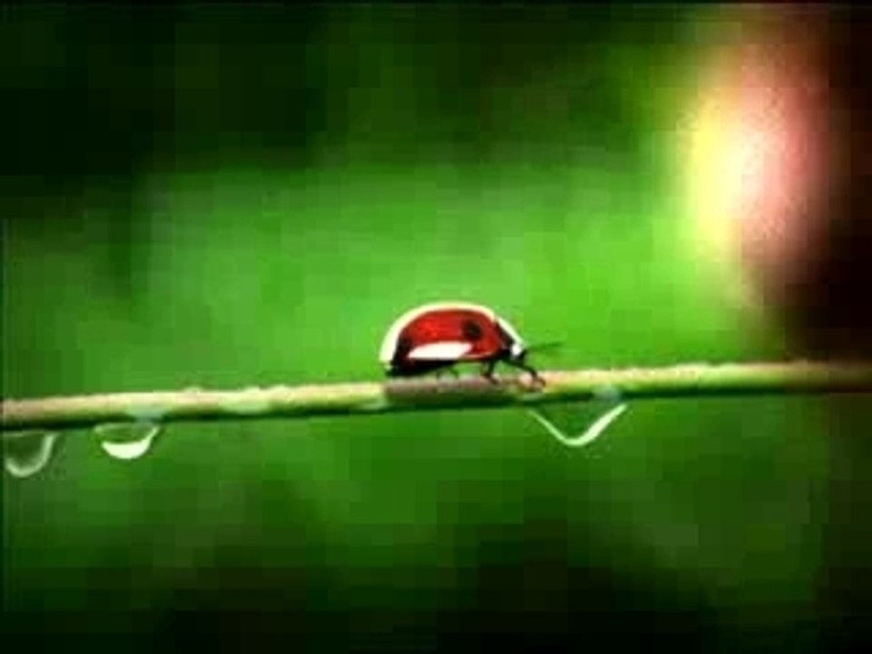 Spontaneous Reel Motion