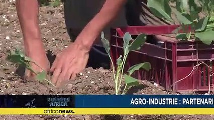 AfDB partners on agro industry [Business Africa]