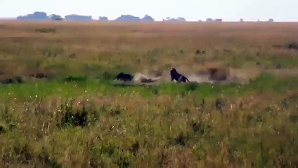 서원출장안마 -후불1ØØ%ョOiOE7685E6221｛카톡PP888｝ 서원전지역출장마사지 서원오피걸 서원출장안마 서원출장마사지 서원출장안마 서원출장콜걸샵안마 서원출장아로마 서원출장せ⾰㌢