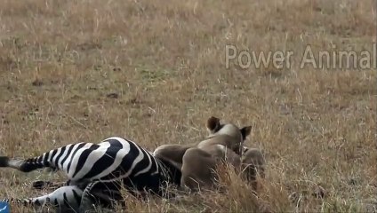 강동출장안마 -후불1ØØ%ョØ7ØE7575E0054｛카톡GD825｝ 강동전지역출장마사지 강동오피걸 강동출장안마 강동출장마사지 강동출장안마 강동출장콜걸샵안마 강동출장아로마 강동출장⾭㌓≖