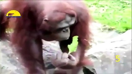 광평동출장안마 -후불100%ョØ1ØM2997M5327｛카톡USA59｝  광평동전지역출장안마 광평동오피걸 광평동출장마사지 광평동안마 광평동출장마사지 광평동콜걸샵㍐◠◖