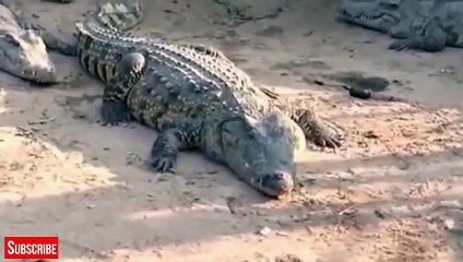 양양출장안마 -후불1ØØ%ョOiOE7685E6221｛카톡USA51｝ 양양전지역출장마사지 양양오피걸 양양출장안마 양양출장마사지 양양출장안마 양양출장콜걸샵안마 양양출장아로마 양양출장∩∉㌟