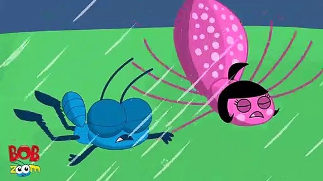 A Dona Aranha - Bob Zoom