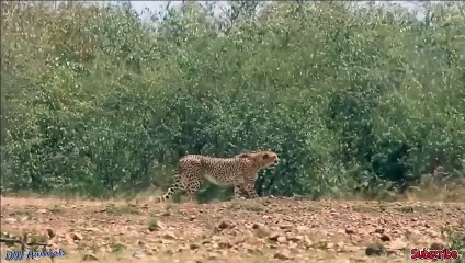 동두천출장안마 -후불100%ョØ1ØM7685M6221｛카톡USA51｝  동두천전지역출장안마 동두천오피걸 동두천출장마사지 동두천안마 동두천출장마사지 동두천콜걸샵⾻≌◩