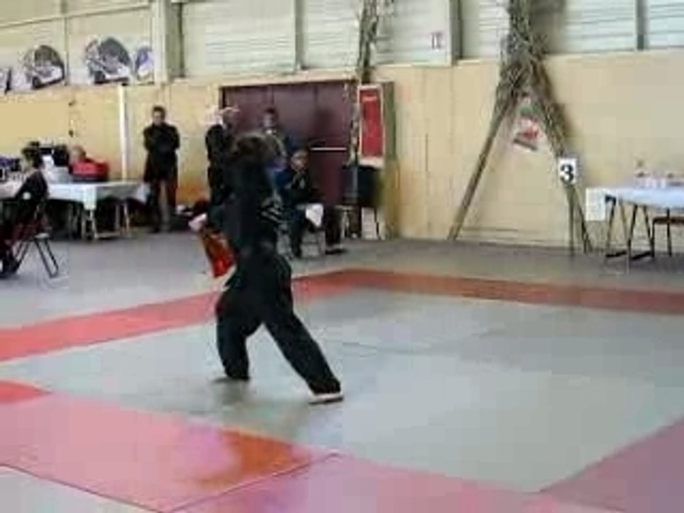 Viet Vo Dao Marolles Quyen Arme 1