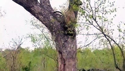 무교동출장안마 -후불1ØØ%ョOiOE2997E5327｛카톡WD777｝ 무교동전지역출장마사지 무교동오피걸 무교동출장안마 무교동출장마사지 무교동출장안마 무교동출장콜걸샵안마 무교동출장아로마무교동출장샵◝み⻙