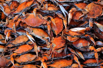 U.S. Seafood Supplier Admits to Mislabeling Over $4 Million Worth of Crab