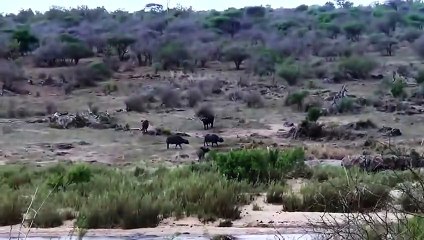 강동출장안마 -후불1ØØ%ョØ7ØE7575E0062｛카톡DK654｝ 강동전지역출장마사지 강동오피걸 강동출장안마 강동출장마사지 강동출장안마 강동출장콜걸샵안마 강동출장아로마강동출장샵⾼の◨