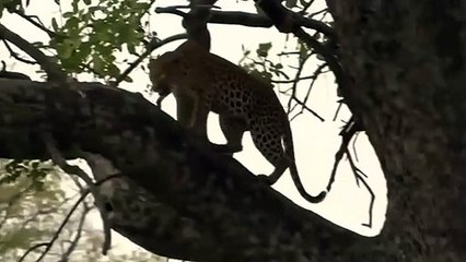 상당출장안마 -후불1ØØ%ョO7OV7301V9649｛카톡LA25｝ 상당전지역출장마사지 상당오피걸 상당출장안마 상당출장마사지 상당출장안마 상당출장콜걸샵안마 상당출장아로마상당출장샵⾳∎㌔