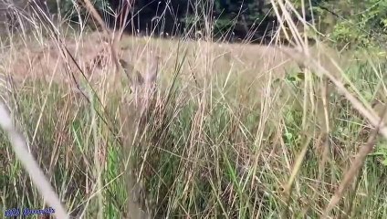 서산출장안마 -후불1ØØ%ョO7OW5222W6739｛카톡CS69｝ 서산전지역출장마사지 서산오피걸 서산출장안마 서산출장마사지 서산출장안마 서산출장콜걸샵안마 서산출장아로마서산출장샵⻌ゝ⻢