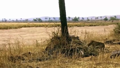 고성출장안마 -후불1ØØ%ョOiOW2671W8135｛카톡LA369｝ 고성전지역출장마사지 고성오피걸 고성출장안마 고성출장마사지 고성출장안마 고성출장콜걸샵안마 고성출장아로마고성출장샵㌝㌶∓