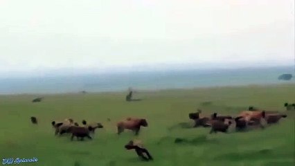 진안출장안마 -후불1ØØ%ョO7OV7333V9649｛카톡LA666｝ 진안전지역출장마사지 진안오피걸 진안출장안마 진안출장마사지 진안출장안마 진안출장콜걸샵안마 진안출장아로마진안출장샵とぷ◐