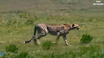 청량리출장안마 -후불100%ョØ7ØE7575E0054｛카톡USA16｝  청량리전지역출장안마 청량리오피걸 청량리출장마사지 청량리안마 청량리출장마사지 청량리콜걸샵◜㌻≕