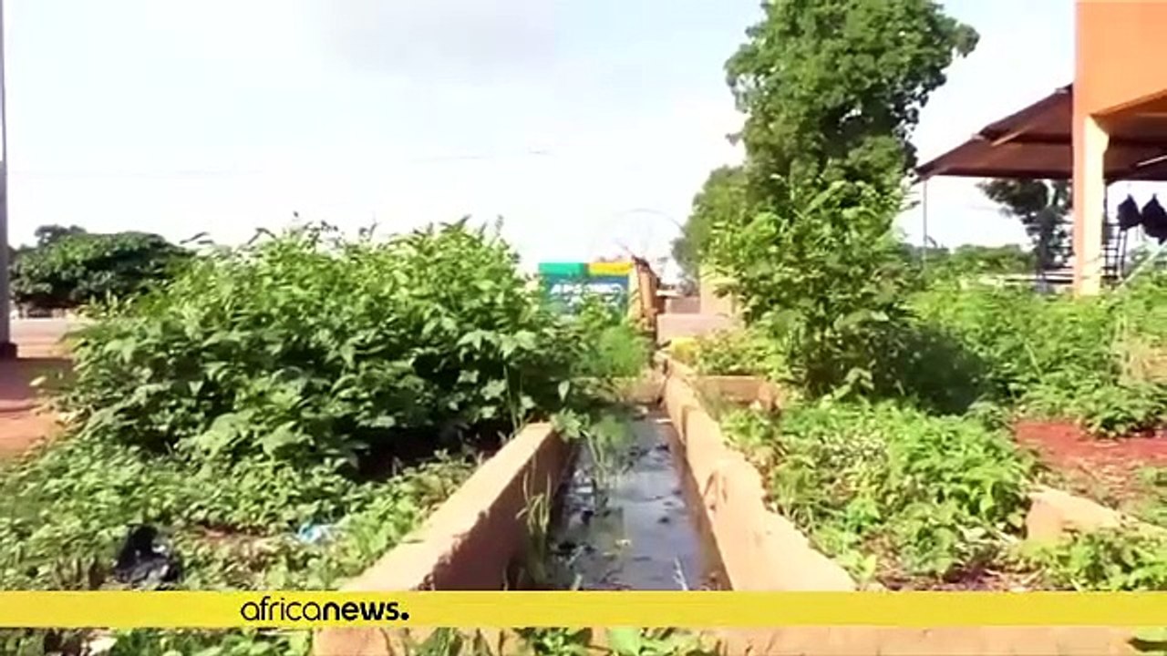 Ouganda : hausse record du paludisme