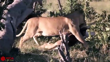 밀양출장안마 -후불1ØØ%ョØ1ØM2997M5327｛카톡WD777｝ 밀양전지역출장마사지 밀양오피걸 밀양출장안마 밀양출장마사지 밀양출장안마 밀양출장콜걸샵안마 밀양출장아로마밀양출장샵◆▽は