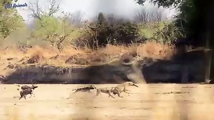 중구출장안마 -후불100%ョØ1ØM7685M6221｛카톡USA51｝  중구전지역출장안마 중구오피걸 중구출장마사지 중구안마 중구출장마사지 중구콜걸샵◫㍑ぃ