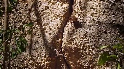 완도출장안마 -후불100%ョØ1ØM2997M5327｛카톡KC789｝  완도전지역출장안마 완도오피걸 완도출장마사지 완도안마 완도출장마사지 완도콜걸샵∤∾⊊