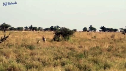 완도출장안마 -후불1ØØ%ョO7OV7333V9649｛카톡LA666｝ 완도전지역출장마사지 완도오피걸 완도출장안마 완도출장마사지 완도출장안마 완도출장콜걸샵안마 완도출장아로마 완도출장≂≨㌚