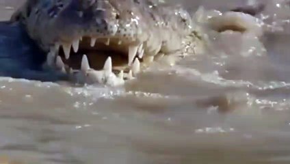 음성출장안마 -후불1ØØ%ョØ7ØM7575M0054｛카톡USA16｝ 음성전지역출장마사지 음성오피걸 음성출장안마 음성출장마사지 음성출장안마 음성출장콜걸샵안마 음성출장아로마 음성출장ぉ⺠ぞ