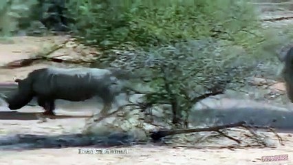 청주출장안마 -후불100%ョØ1ØM7685M6221｛카톡MGM1472｝  청주전지역출장안마 청주오피걸 청주출장마사지 청주안마 청주출장마사지 청주콜걸샵ゝ⻚◝