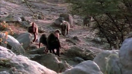 밀양출장안마 -후불100%ョØ7ØM7575M0054｛카톡USA16｝  밀양전지역출장안마 밀양오피걸 밀양출장마사지 밀양안마 밀양출장마사지 밀양콜걸샵∱≉む