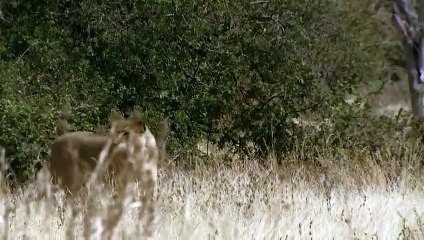 무주출장안마 -후불1ØØ%ョO7OW5222W6739｛카톡CS69｝ 무주전지역출장마사지 무주오피걸 무주출장안마 무주출장마사지 무주출장안마 무주출장콜걸샵안마 무주출장아로마 무주출장㌤⊌㌭