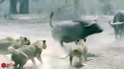 노원출장안마 -후불1ØØ%ョØ7ØM7575M0069｛카톡CC6969｝ 노원전지역출장마사지 노원오피걸 노원출장안마 노원출장마사지 노원출장안마 노원출장콜걸샵안마 노원출장아로마노원출장샵⾷づ≻