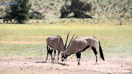 수원출장안마 -후불100%ョOiOE7685E6221｛카톡PP888｝  수원전지역출장안마 수원오피걸 수원출장마사지 수원안마 수원출장마사지 수원콜걸샵だ◠⾸