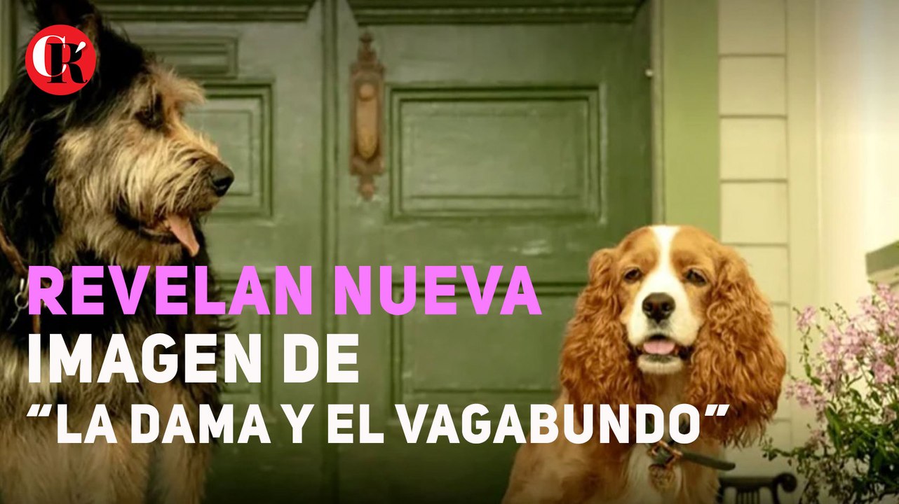 Revelan nueva imagen de “La dama y el vagabundo”