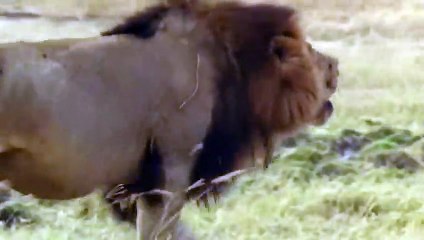 봉화출장안마 -후불1ØØ%ョØ7ØE7575E0054｛카톡USA16｝ 봉화전지역출장마사지 봉화오피걸 봉화출장안마 봉화출장마사지 봉화출장안마 봉화출장콜걸샵안마 봉화출장아로마봉화출장샵≶⾻㌤