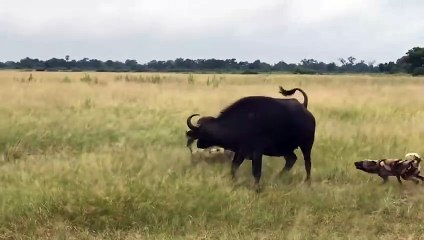 연천출장안마 -후불1ØØ%ョOiOs2671s8135｛카톡AQ52｝ 연천전지역출장마사지 연천오피걸 연천출장안마 연천출장마사지 연천출장안마 연천출장콜걸샵안마 연천출장아로마연천출장샵◢∪㍐