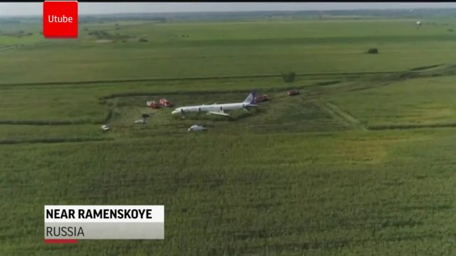Russian plane crash lands in corn field after hitting a flock of birds