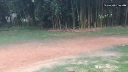 Why get a swimming pool in your backyard when you could get a river