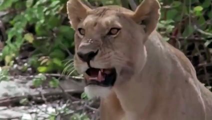 영덕출장안마 -후불1ØØ%ョØ1ØM7685M6221｛카톡USA51｝ 영덕전지역출장마사지 영덕오피걸 영덕출장안마 영덕출장마사지 영덕출장안마 영덕출장콜걸샵안마 영덕출장아로마영덕출장샵◓で⺦