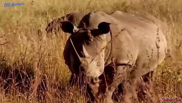 순천출장안마 -후불1ØØ%ョO7OW5222W7802｛카톡LGT010｝ 순천전지역출장마사지 순천오피걸 순천출장안마 순천출장마사지 순천출장안마 순천출장콜걸샵안마 순천출장아로마순천출장샵≵≗㌗