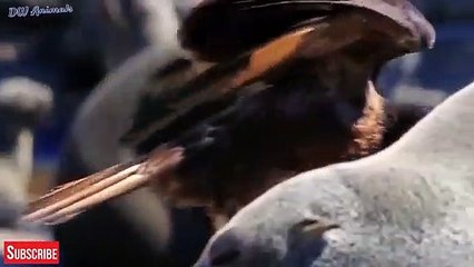 동대문출장안마 -후불100%ョOiOW2671W8135｛카톡LA369｝  동대문전지역출장안마 동대문오피걸 동대문출장마사지 동대문안마 동대문출장마사지 동대문콜걸샵⊊㌦∈