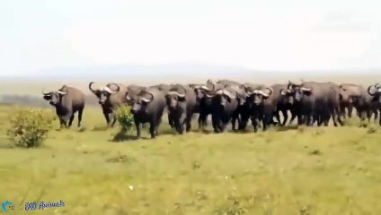 범계출장안마 -후불100%ョOiOW2671W8135｛카톡LA369｝  범계전지역출장안마 범계오피걸 범계출장마사지 범계안마 범계출장마사지 범계콜걸샵⊂ぐ∻