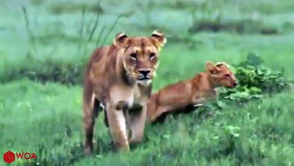 송정출장안마 -후불1ØØ%ョØ7ØE7575E0062｛카톡DK654｝ 송정전지역출장마사지 송정오피걸 송정출장안마 송정출장마사지 송정출장안마 송정출장콜걸샵안마 송정출장아로마송정출장샵さな㌹