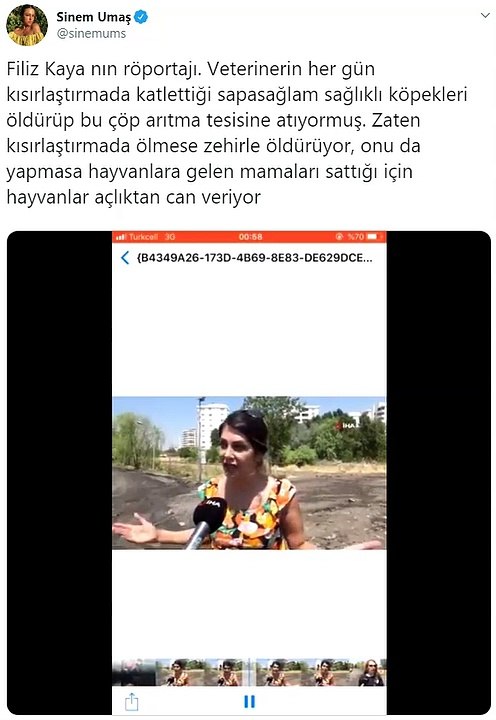 Diyarbakır Hayvan Katliamı