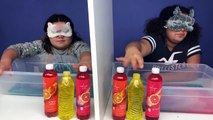 Blindfolded Twin Telepathy Slime Challenge